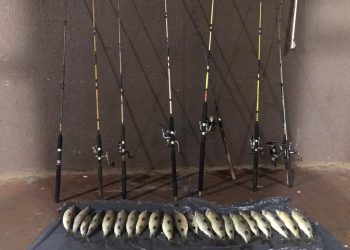 Pescadores são presos em Foz por pescarem durante a piracema