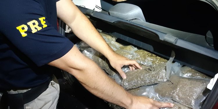 PRF apreende mais de 40 kg de maconha em veículo em STI