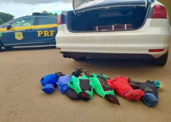 Prefeito do oeste do Paraná é preso pela PRF com galos de rinha em carro oficial