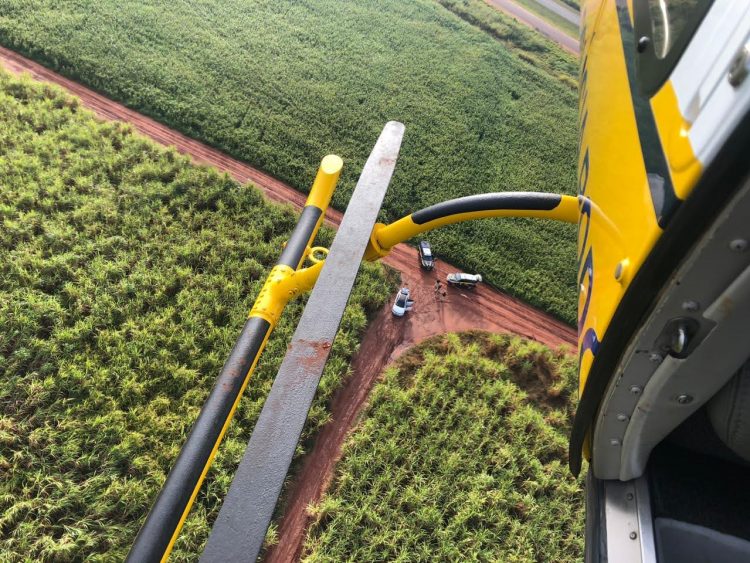 PRF apreende 150 toneladas de drogas no Paraná em 2020 e registra novo recorde histórico