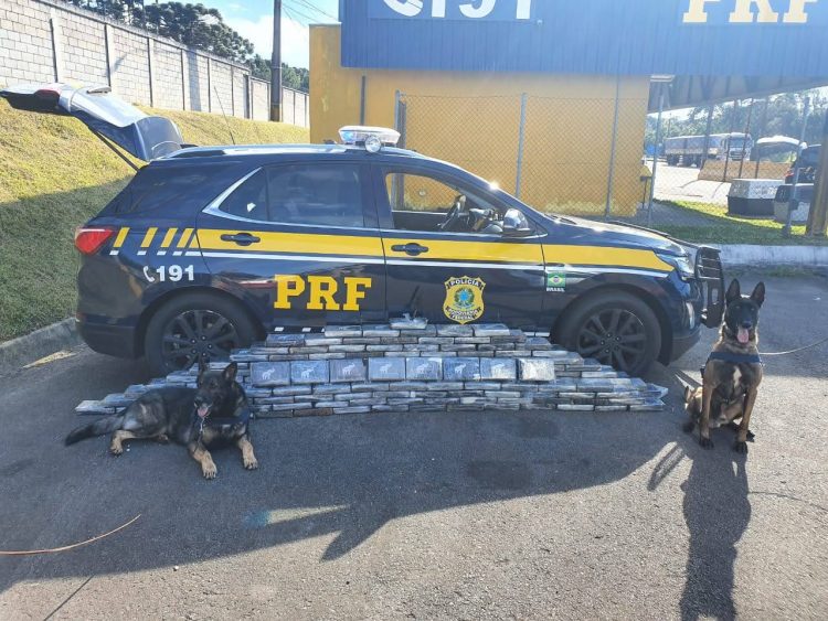 PRF apreende 150 toneladas de drogas no Paraná em 2020 e registra novo recorde histórico
