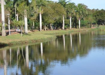 Prefeitura lança projeto de plantio de árvores em homenagem às vitimas de Covid-19
