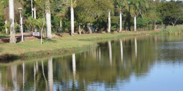 Prefeitura lança projeto de plantio de árvores em homenagem às vitimas de Covid-19