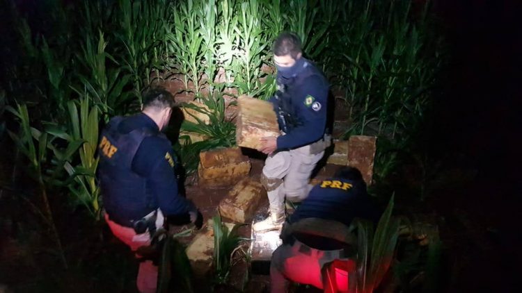 PRF apreende 150 toneladas de drogas no Paraná em 2020 e registra novo recorde histórico