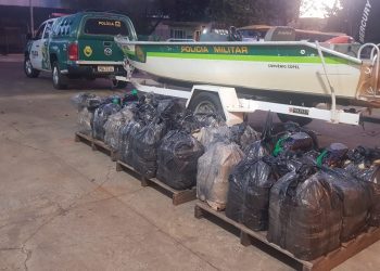 Polícia Ambiental apreende carga de azeite de oliva no Rio Iguaçu, em Foz