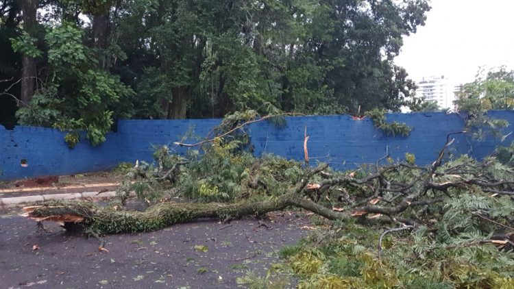 Temporal deixou 32 mil unidades sem energia em Foz e Santa Terezinha