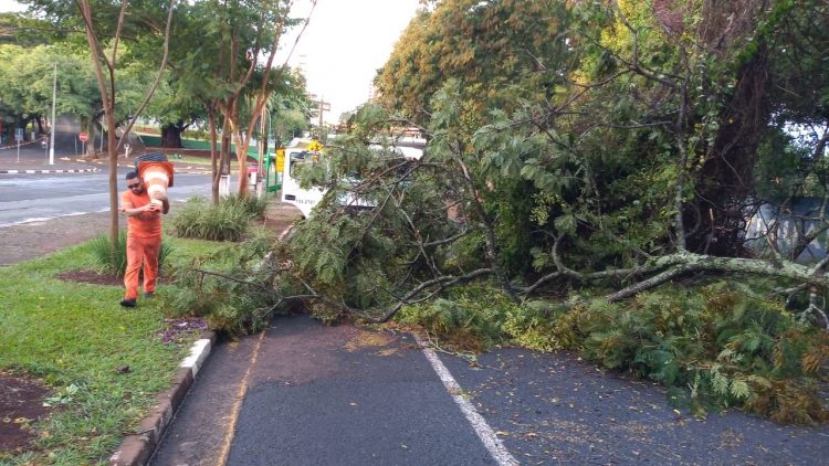 Temporal deixou 32 mil unidades sem energia em Foz e Santa Terezinha
