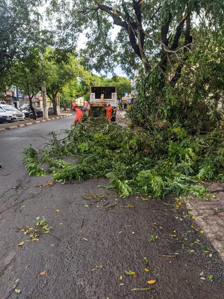 Temporal deixou 32 mil unidades sem energia em Foz e Santa Terezinha