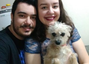 Time de estudantes realiza pesquisa na área de biologia sintética, para o combate da leishmaniose