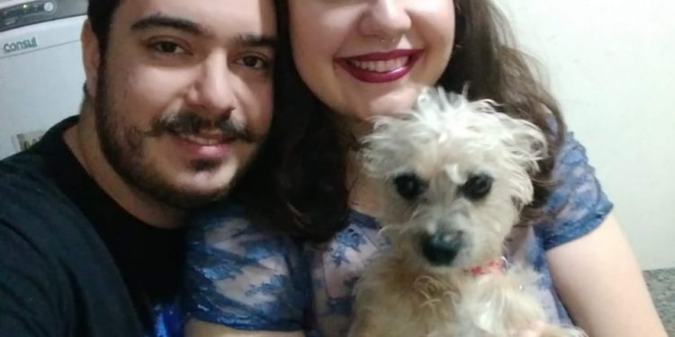Time de estudantes realiza pesquisa na área de biologia sintética, para o combate da leishmaniose