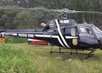 Tragédia em SC: Família é atacada por abelhas e uma pessoa morre