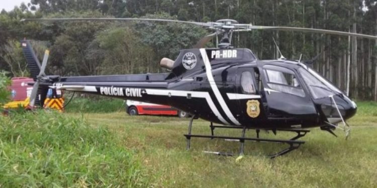 Tragédia em SC: Família é atacada por abelhas e uma pessoa morre