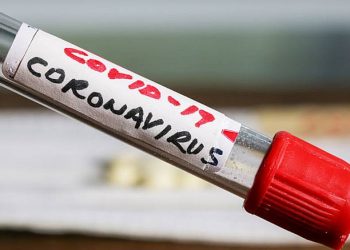 Variante brasileira do novo coronavírus já circula em quase todo o Paraguai