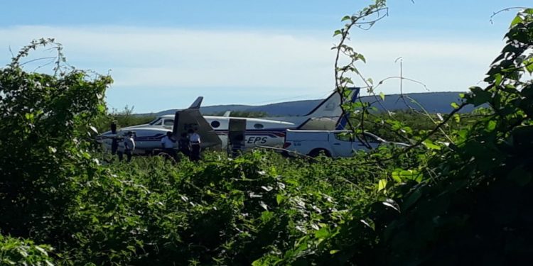 Avião com doses da vacina da covid bate em jumento que estava na pista