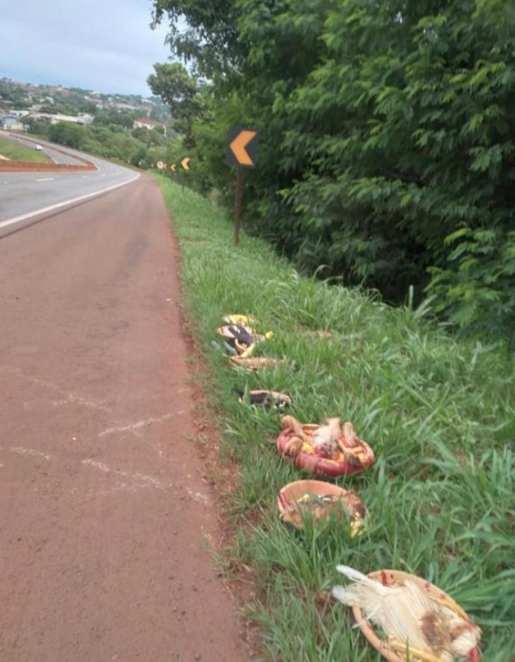 Ritual com animais chama atenção de populares às margens da BR-277