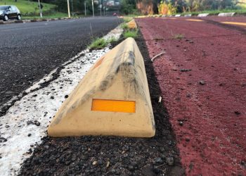 Protetora Carol quer substituição dos tachões da Avenida Beira Rio