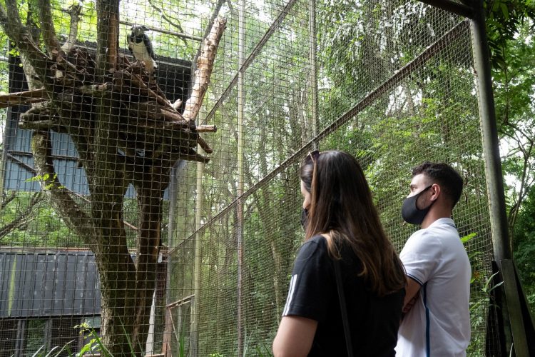 Visita à Itaipu é opção de entretenimento seguro neste feriado de Tiradentes