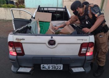 Rocam prende duas pessoas com 193kg de maconha em Santa Terezinha de Itaipu