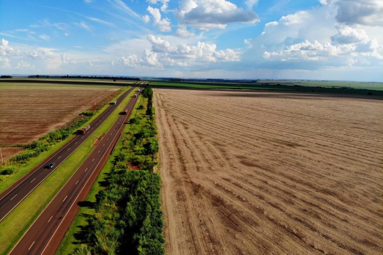 Estudo do traçado garante economia de R$ 700 milhões na Nova Ferroeste