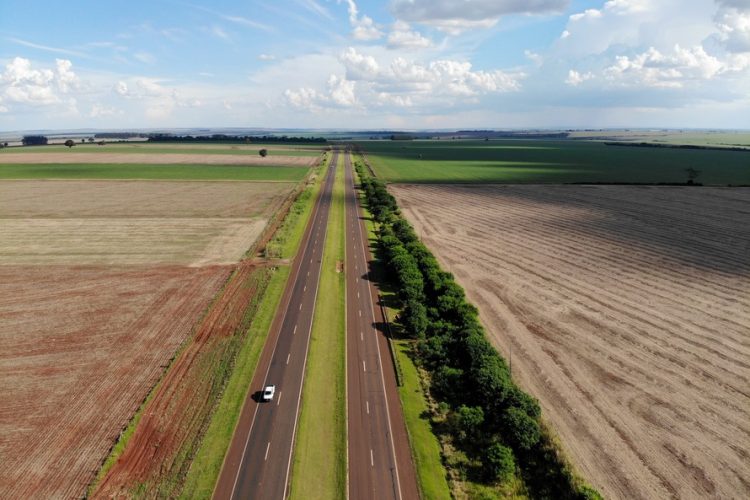 Estudo do traçado garante economia de R$ 700 milhões na Nova Ferroeste