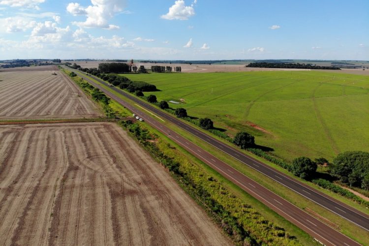 Estudo do traçado garante economia de R$ 700 milhões na Nova Ferroeste