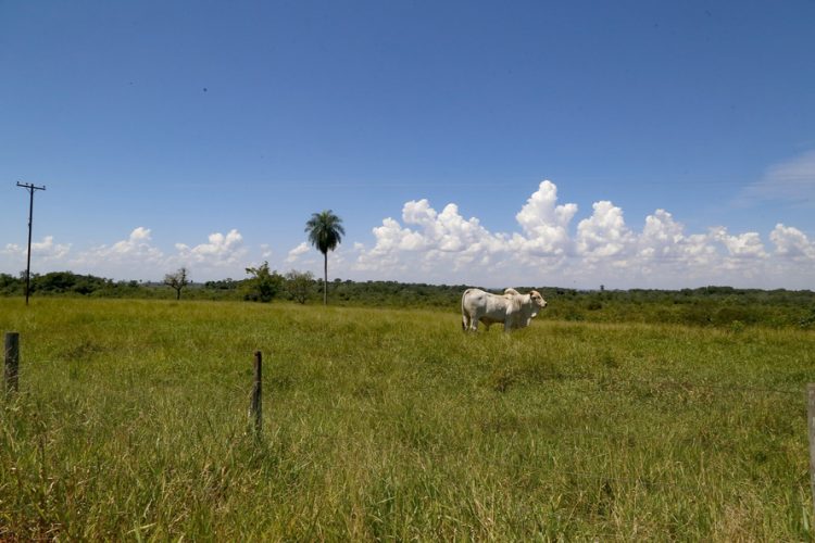 Estudo do traçado garante economia de R$ 700 milhões na Nova Ferroeste