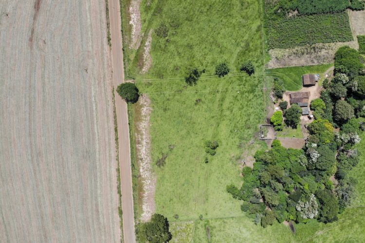 Estudo do traçado garante economia de R$ 700 milhões na Nova Ferroeste