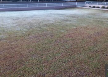 Terça, 25, tem primeiros registros de geadas na região oeste