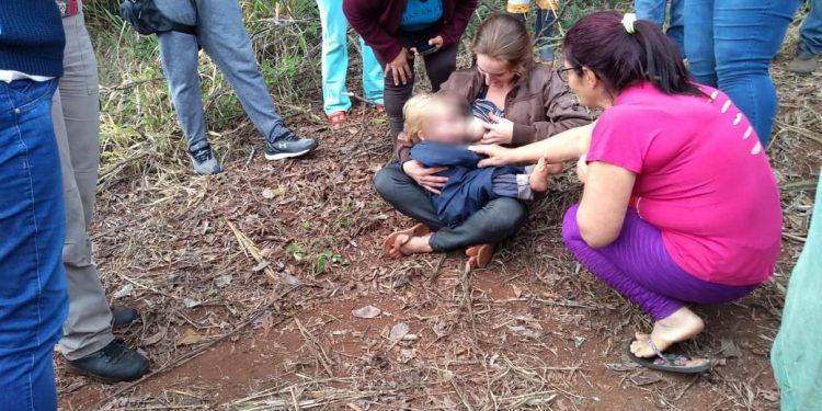 Criança de 1 ano passa noite perdida em milharal no Paraná