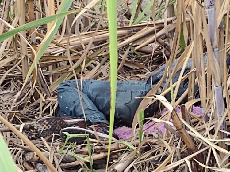 Homem é encontrado morto na Vila C