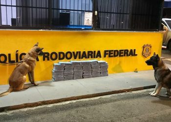 PRF apreende 68 quilos de cocaína com auxílio de cães farejadores
