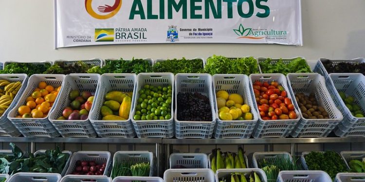 Novo Programa de Aquisição de Alimentos irá atender a mais de nove mil pessoas em Foz do Iguaçu