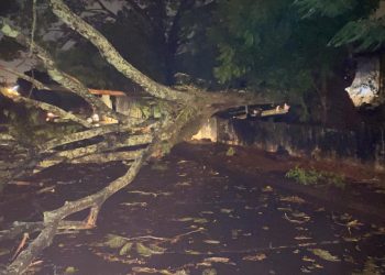 Casa destruída por incêndio na Vila A durante o temporal pode ter sido atingida por raio