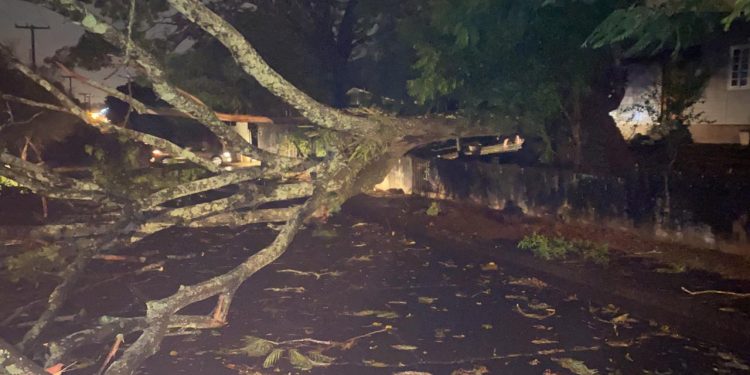 Casa destruída por incêndio na Vila A durante o temporal pode ter sido atingida por raio