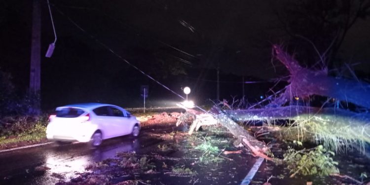 Casa destruída por incêndio na Vila A durante o temporal pode ter sido atingida por raio