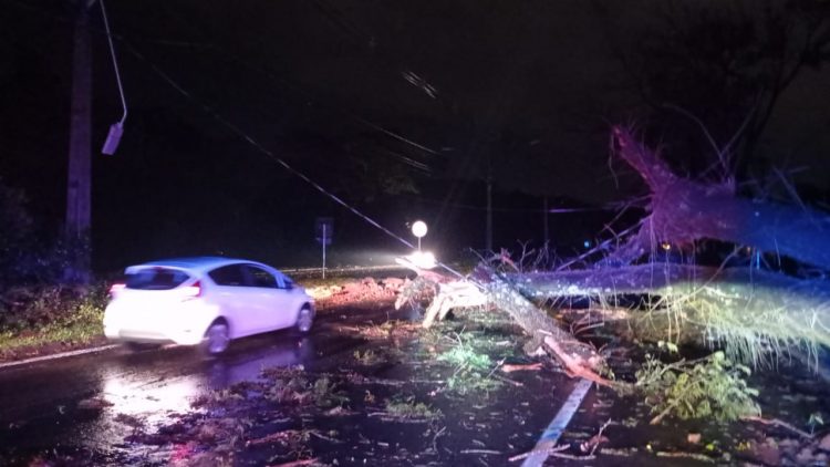 Casa destruída por incêndio na Vila A durante o temporal pode ter sido atingida por raio