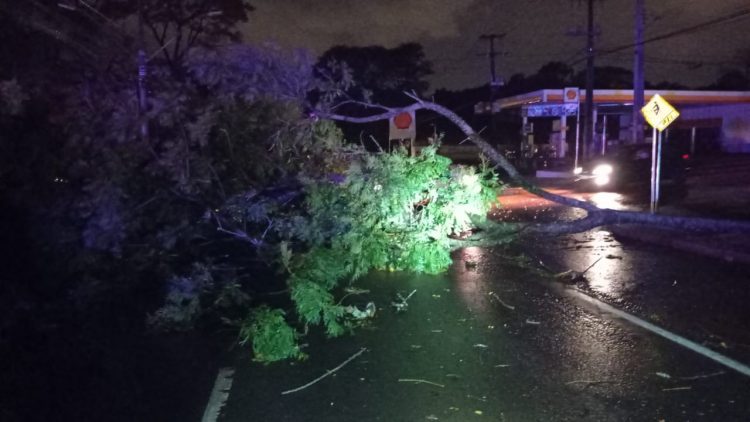 Casa destruída por incêndio na Vila A durante o temporal pode ter sido atingida por raio