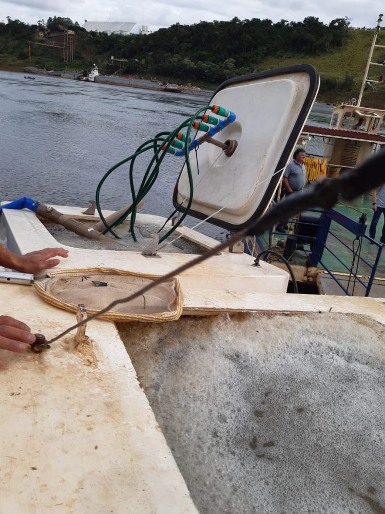 Clube Amambay solta 60 mil alevinos de pacus no Rio Paraná