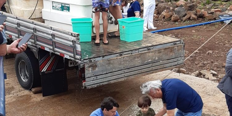 Clube Amambay solta 60 mil alevinos de pacus no Rio Paraná