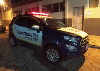 Dinossauro sai para passear durante o lockdown em Foz e vai parar na delegacia