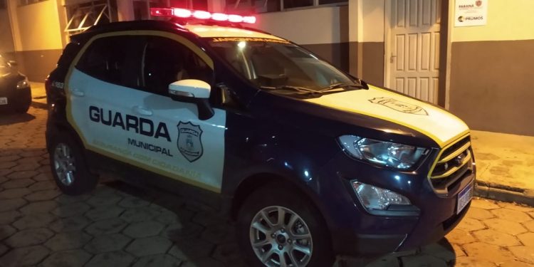 Dinossauro sai para passear durante o lockdown em Foz e vai parar na delegacia