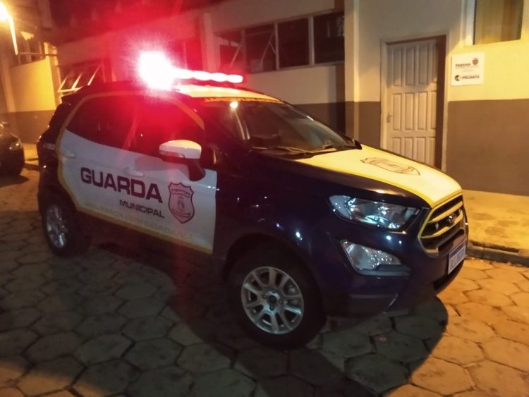 Dinossauro sai para passear durante o lockdown em Foz e vai parar na delegacia
