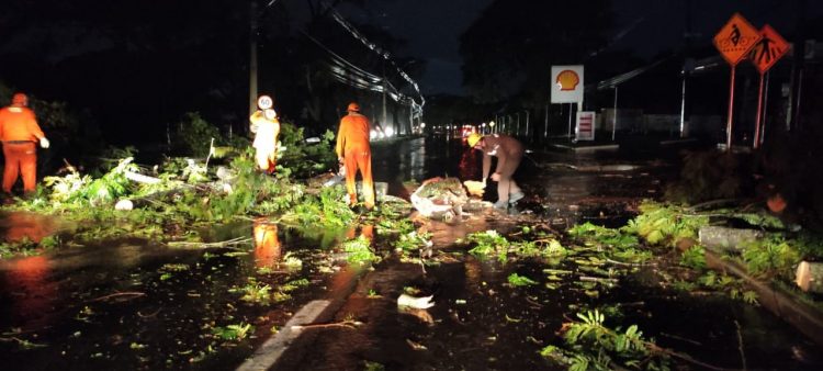 Bombeiros de Itaipu atuam para liberar via após temporal de sexta-feira (21)