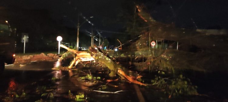 Bombeiros de Itaipu atuam para liberar via após temporal de sexta-feira (21)