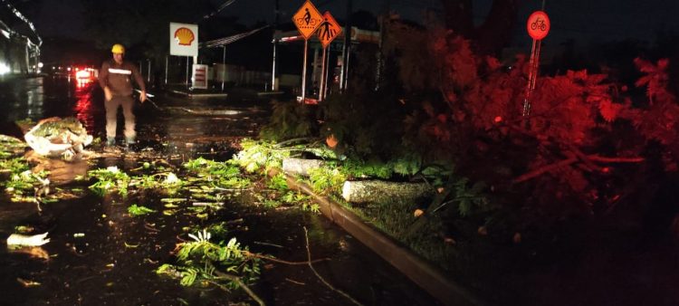 Bombeiros de Itaipu atuam para liberar via após temporal de sexta-feira (21)