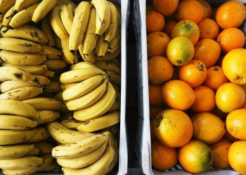 Secretaria de Educação entrega kits da agricultura familiar para CMEIs das regiões Leste e Sul