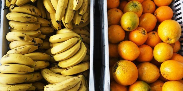 Secretaria de Educação entrega kits da agricultura familiar para CMEIs das regiões Leste e Sul