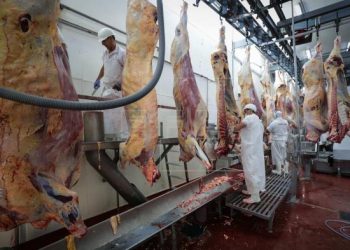 Argentina fecha exportação de carnes por 30 dias para conter inflação