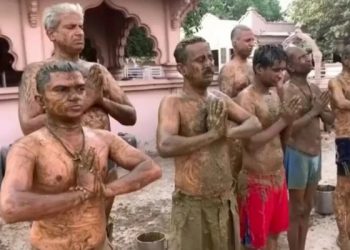 Índia: autoridades pedem que população não use estrume contra a Covid