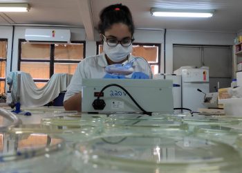 Mulheres na ciência: Mestranda da Unioeste conquista prêmio em evento